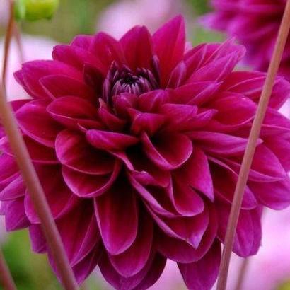 Ogrody i Ogr&oacute;dki